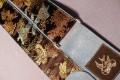 Metallic Butterflies on Blue